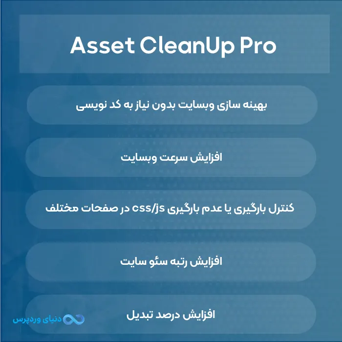 افزونه مدیریت پلاگین های ورپرس Asset CleanUp Pro