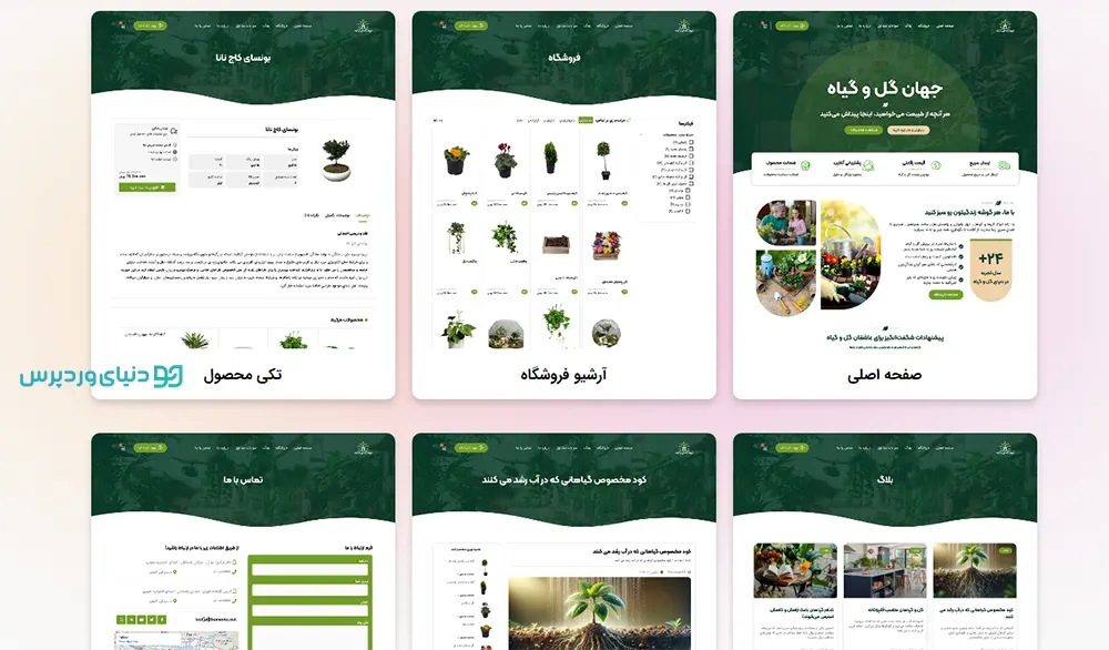 سایت آماده گل و گیاه آپارتمانی - سایت آماده فلورینا