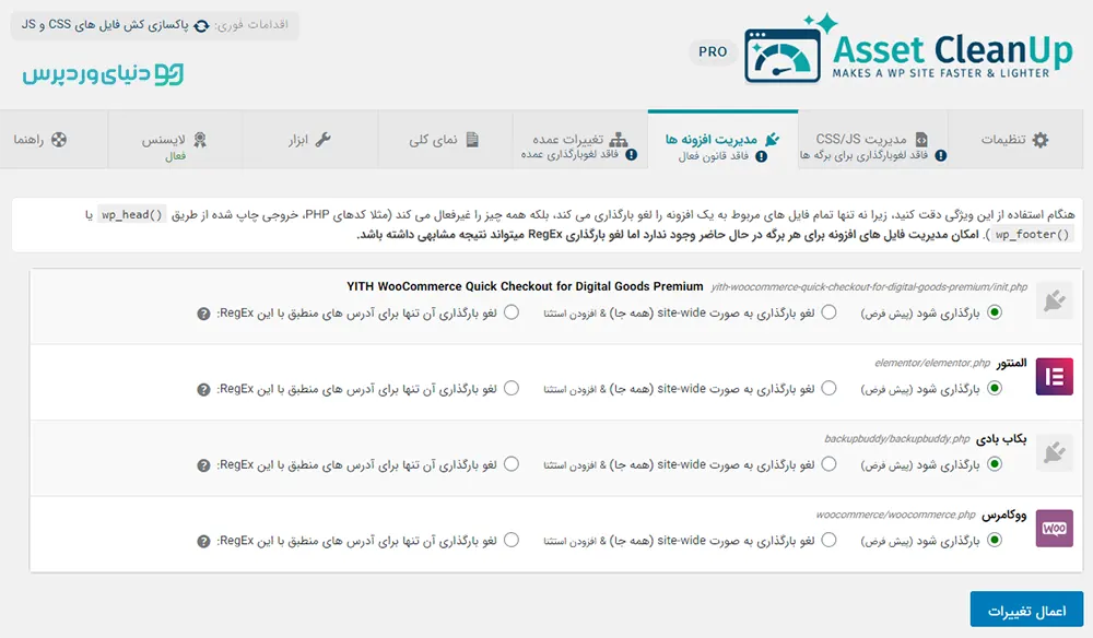 افزونه Asset CleanUp Pro - کم کردن حجم و افزایش سرعت لود سایت