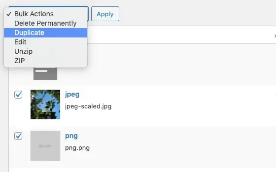 سازماندهی کتابخانه وردپرس - Media Library Organizer Pro